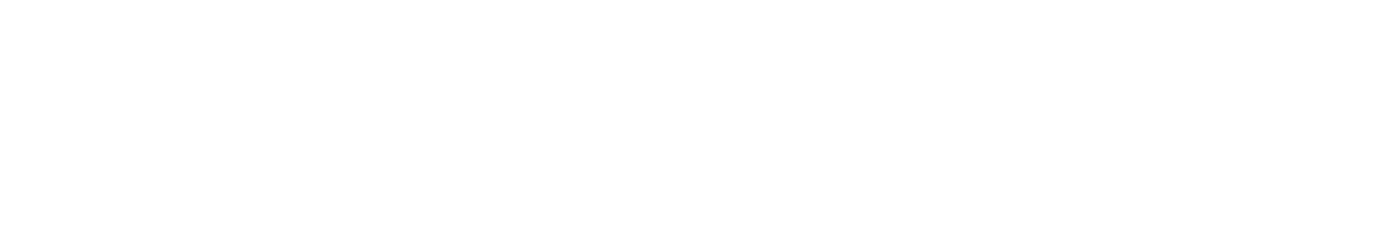 Guardian — Defending the Goal